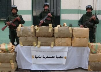 إحباط محاولة إدخال 8 قناطير كيف معالج من المغرب