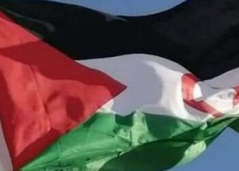 فرنسا.. مسيرة لاطلاق سراح المعتقلين السياسيين الصحراويين في السجون المغربية