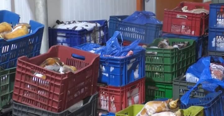 حجز 115 قنطارا من لحوم حمراء غير صالحة للاستهلاك البشري بالعاصمة