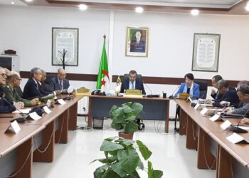 عرقاب: الجزائر ملتزمة بتطوير الطاقات المتجددة لتحقيق تنمية مستدامة