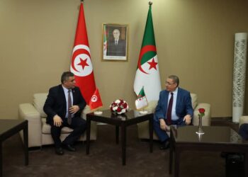 الجزائر- تونس.. إرادة مشتركة في التصدي للظواهر السلبية بالمناطق الحدودية