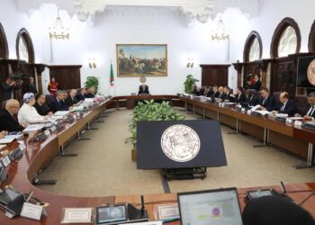 نحو استيراد مليون رأس من الماشية