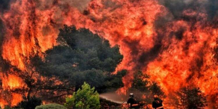 اليابان تسجل حرائق غابات هي الأسوأ منذ 33 عاما