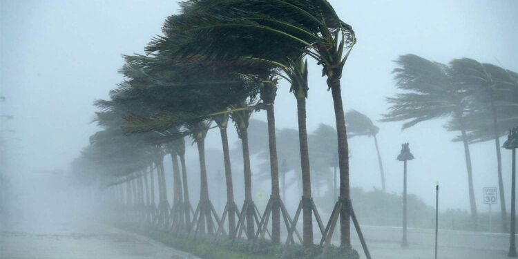 رياح قوية في 20 ولاية اليوم وغدا