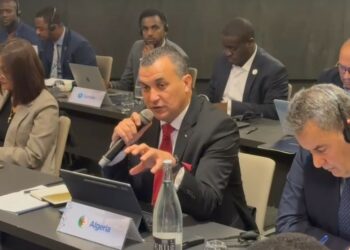 زروقي: الجزائر موقع مثالي للاستثمارات الخاصة بمراكز البيانات الضخمة