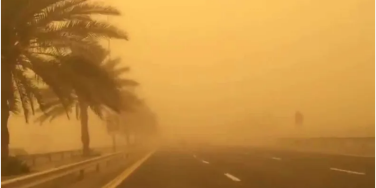 أمطار غزيرة وزوابع رملية في هذه الولايات