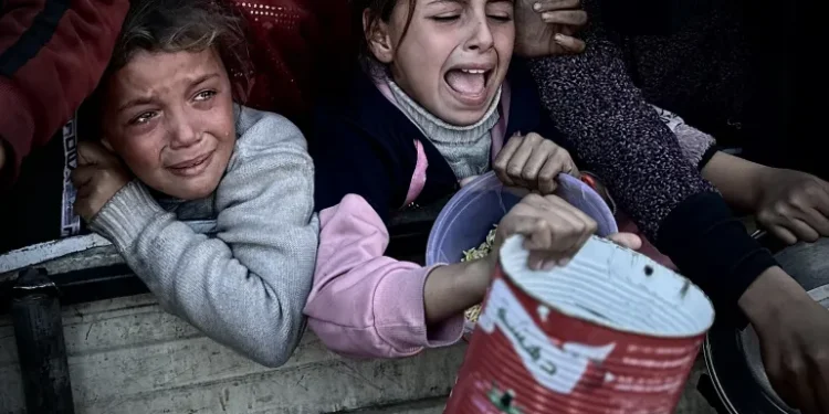 أرقام مروعة عن الكارثة الإنسانية في غزة