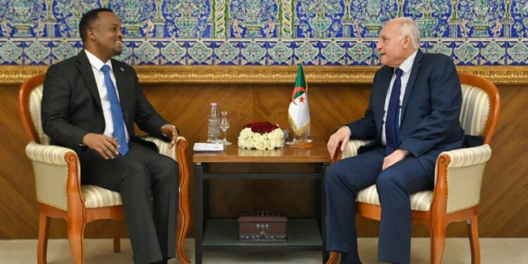 عطاف يستقبل سفير الصومال الجديد