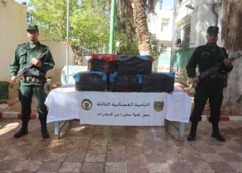 إحباط تهريب 9 قناطير كيف معالج من المغرب إلى الجزائر