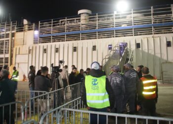 وصول 10 آلاف رأس غنم روماني إلى ميناء جن جن