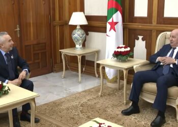 الرئيس تبون ودعم الكفاءات الجزائرية المقيمة في الخارج