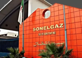 نحو ربط 10 آلاف مستثمرة فلاحية بالكهرباء في 2025