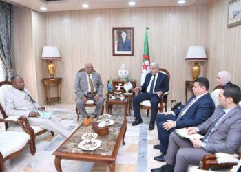 بوغالي ينوه بتناسق المواقف بين الجزائر وجنوب افريقيا