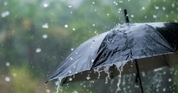 أمطار رعدية ورياح في هذه الولايات