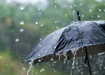أمطار رعدية بولايات شرقية اليوم