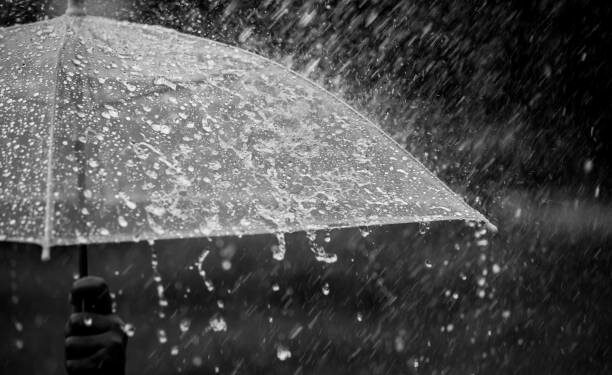 أمطار رعدية ورياح بهذه الولايات