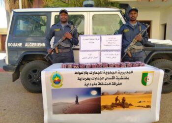 حجز 8 آلاف قرص “بريغبالين” بغرداية