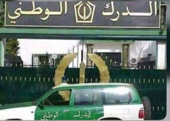 توقيف مروج فيديو لـ “موت 3 رؤوس ماشية مستوردة”