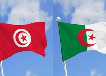 لقاء وزاري خاص بالبحث العلمي بين الجزائر وتونس