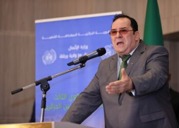 مزيان: تكوين الصحفيين ضروري لمواكبة التحولات الرقمية