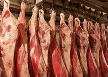ميلة.. إيداع صاحب محل بيع لحوم الحبس المؤقت بجنحة المضاربة