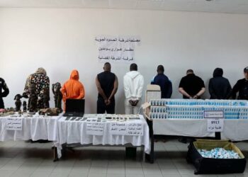 تفكيك شبكة إجرامية دولية تهرب الأدوية