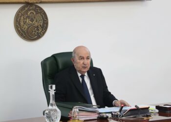 الرئيس تبون يأمر بتسوية وضع شباب الاستيراد المصغر الذاتي