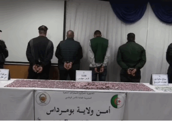 حجز 5100 مؤثر عقلي ببومرداس