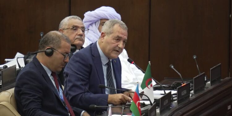 الجزائر ترد بحزم على افتراءات ممثل الطغمة الانقلابية في مالي