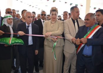 مركز نفسي بيداغوجي للأطفال المعاقين ذهنيا ببئر العاتر