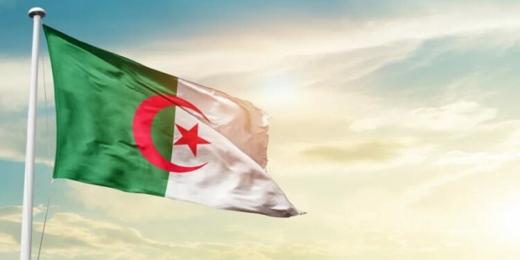ما قدّمته الجزائر لإفريقيا بلا منٍّ ولا حساب
