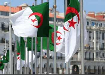 المحافظة السامية للأمازيغية: الجزائر واحدة وموحدة والهوية الوطنية ليست موضوعا للتشكيك