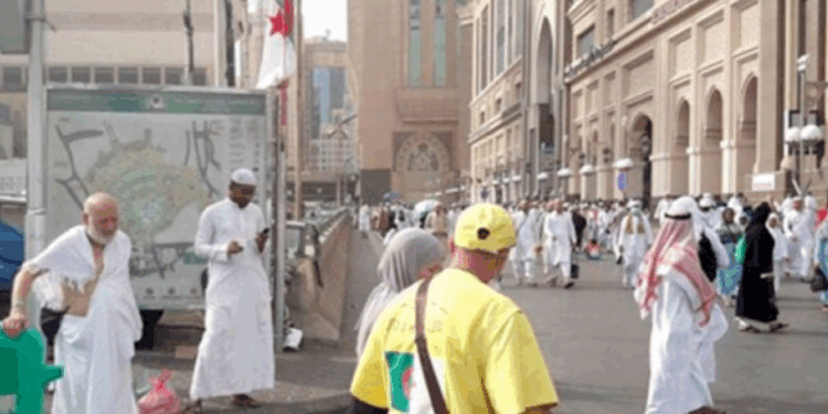 الحجاج الجزائريون يشرعون في برنامج المزارات بالمدينة المنورة