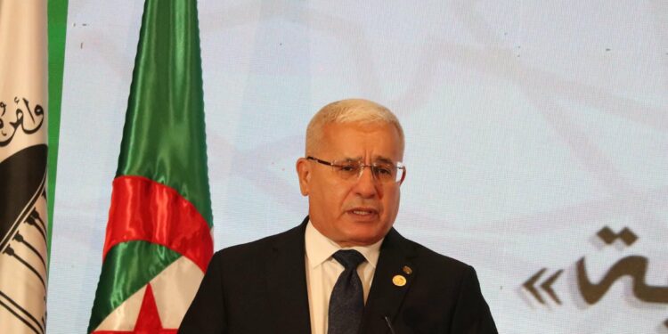 الجزائر تدعو إلى تحرك عربي مشترك تجاه القضايا المصيرية