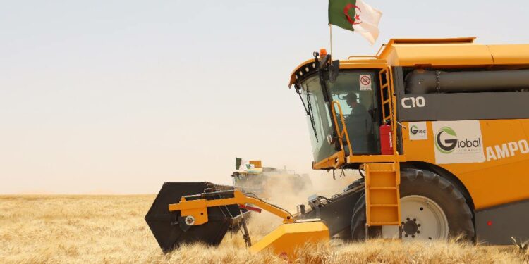 انطلاق حملة الحصاد والدرس بورقلة