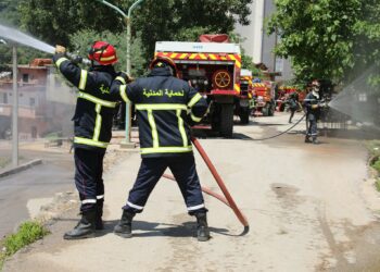 مناورة جهوية كبرى لمكافحة حرائق الغابات