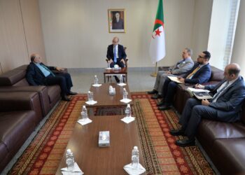 شايب يستقبل المدير العام بالنيابة لبنك التنمية المحلية