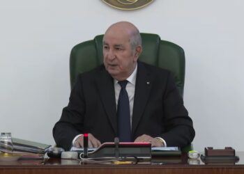 الرئيس تبون يأمر باستحداث مركز وطني للتكفل بالأطفال المصابين بالتوحد