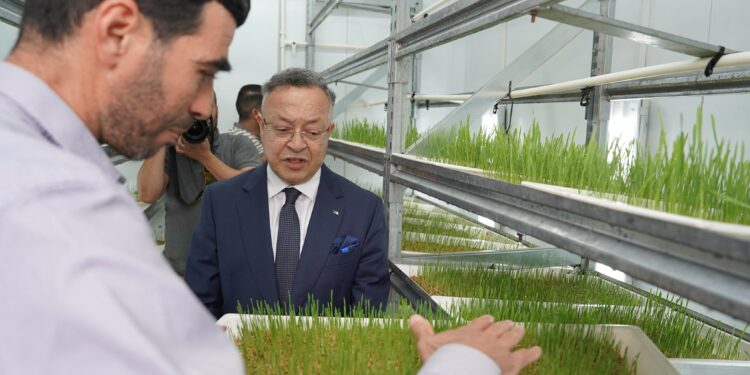 مشروعان نموذجيان في الطاقة المتجددة والزراعة المستدامة